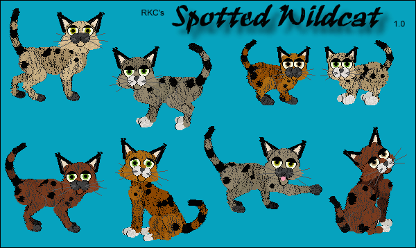 RKC's Spotted Wildcat
                  Breed